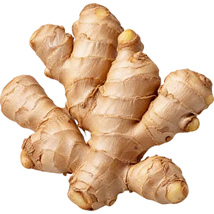 Ingwerwurzelöl